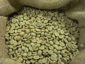 HONDURAS �kologisk fair trade, r� hel kaffeb�nne